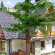 Photos Villa Na Borach