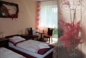 New photos from tourists Willa Albatros 2*