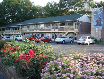 Photos Knights Inn Midland