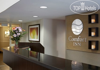 Photos Comfort Inn Prince Albert