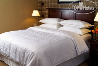 New photos from tourists Sheraton Montreal Airport 4*