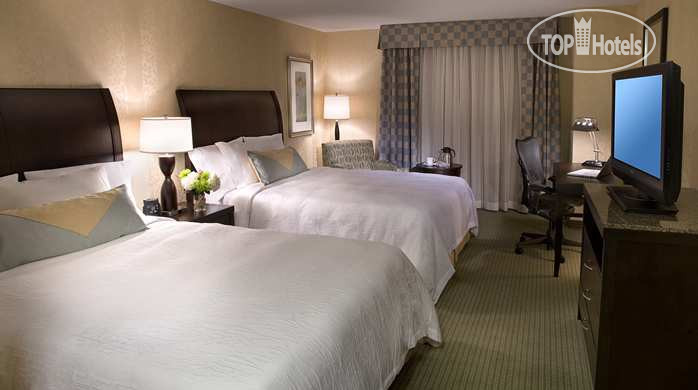 New photos from tourists Hilton Garden Inn Toronto Downtown 3*