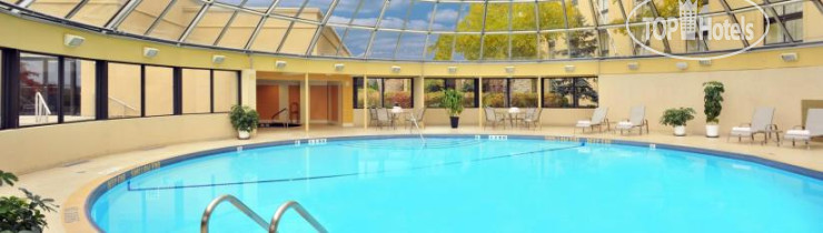 New photos from tourists Sheraton Toronto Airport Hotel & Conference Centre 4*