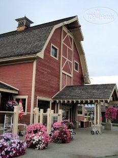 Hotelier's photos St. Eugene Golf Resort & Casino 3*