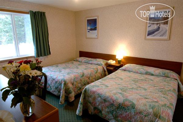 New photos from tourists Casa Alpina 2*