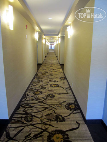 New photos from tourists Holiday Inn Express Golden-Kicking Horse 3*