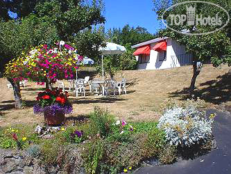 Hotel photo Cherry Tree Inn 2*