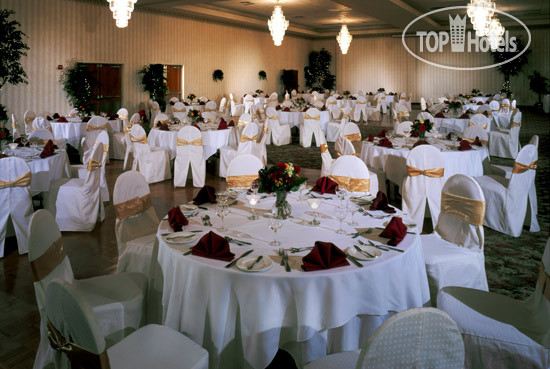 New photos from tourists Four Points by Sheraton Kingston 4*