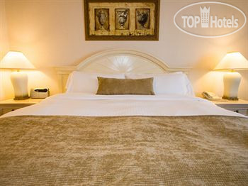 New photos from tourists Delta Markham Hotel 3*