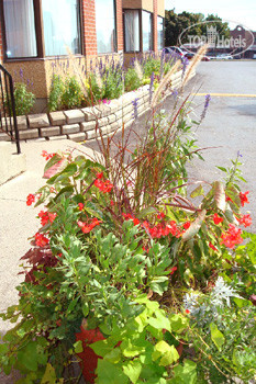 New photos from tourists Best Western Belleville 3*