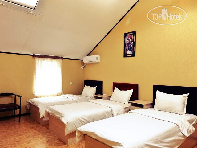 Photos Seven Seasons