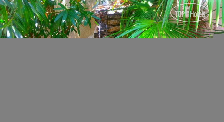 New photos from tourists Elita Hotel 3*