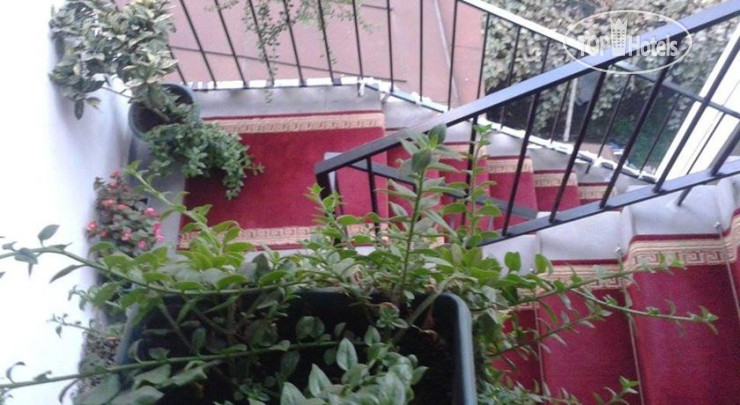 New photos from tourists David L Palace Hotel 3*