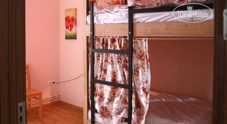 New photos from tourists Pushkin 10 Hostel