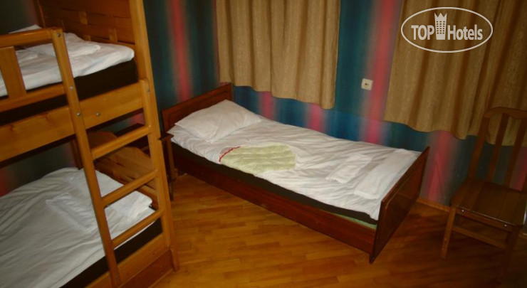 New photos from tourists Shark Hostel