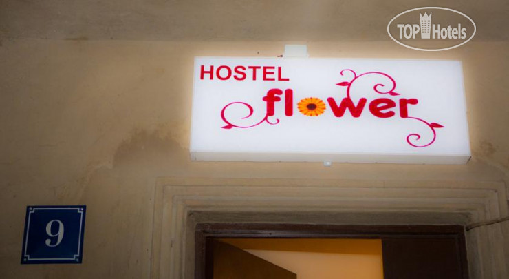 Hotel photo Flowers Hostel 
