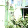 Фото Riviera Guest House