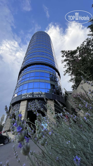 Hotel photo Royal Tulip Hotel & Casino 5*