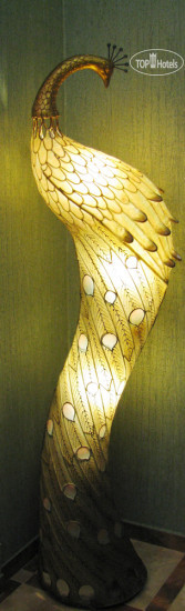 New photos from tourists Pavo 3*