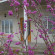 Photos Elegant Hotel