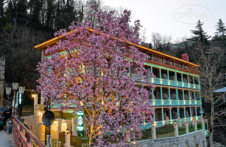 Hotel photo Magnolia 
