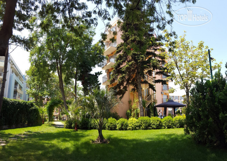 New photos from tourists Riva Hotel