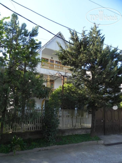 New photos from tourists Freedom Hostel Batumi