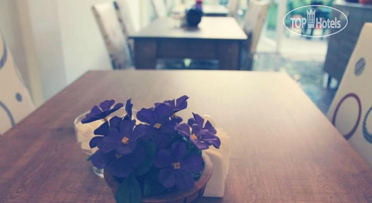 New photos from tourists Four Seasons Guest House 2*