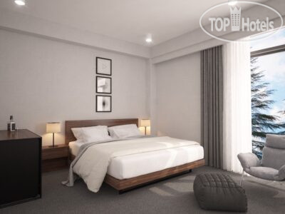 Hotel photo AuRoom Bakuriani Resort 4*