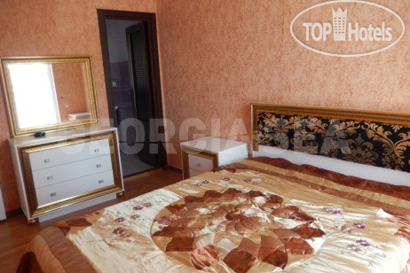 New photos from tourists Альбатрос