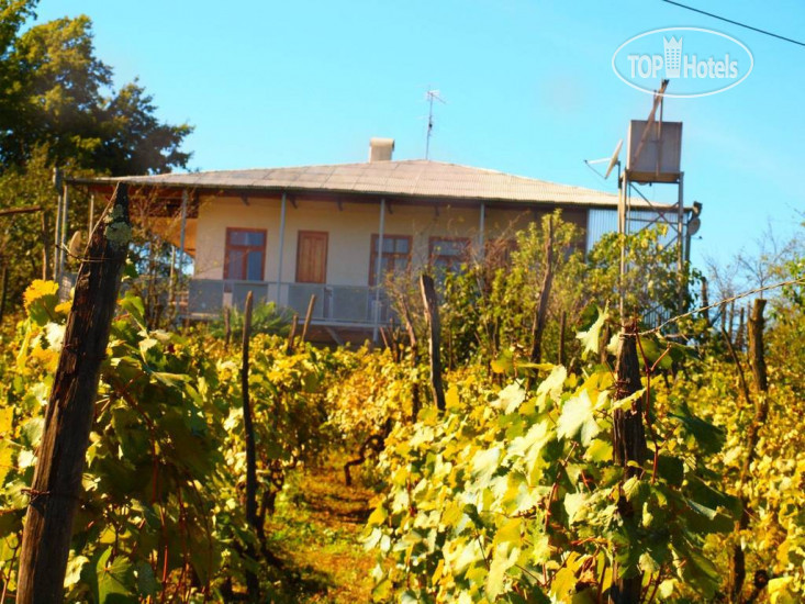 Hotelier's photos Guesthouse Zedafoni
