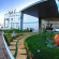 Фото Golden Tulip Hail