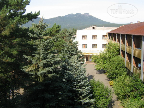 New photos from tourists Zelyonyi bor