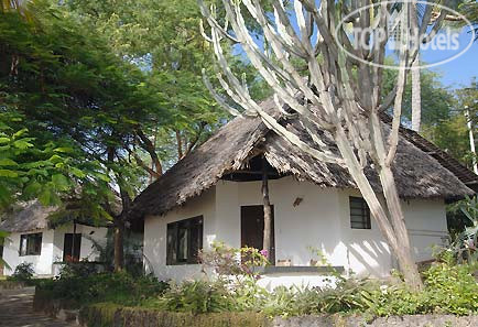 Hotel photo Driftwood Beach Club 3*