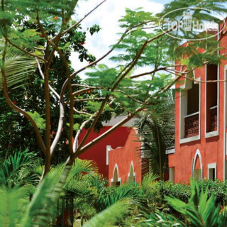 Photos Diamonds Malindi