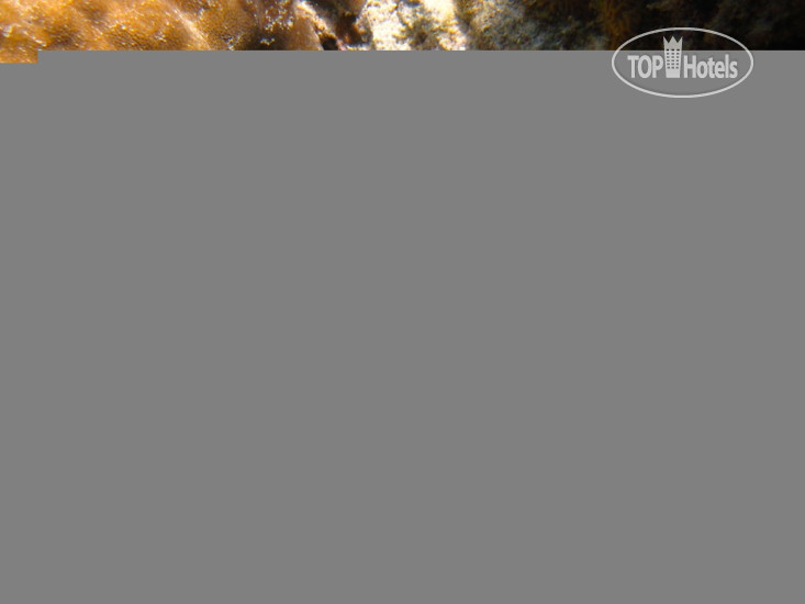 New photos from tourists Tijara Beach 5*