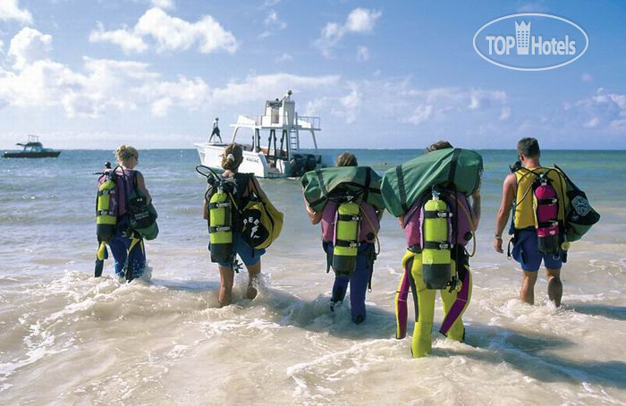 New photos from tourists The Maridadi 4*