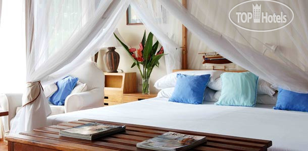 New photos from tourists Flamboyant Diani