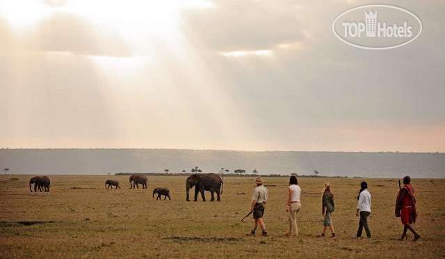 New photos from tourists Elephant Pepper Camp Masai Mara by Elewana
