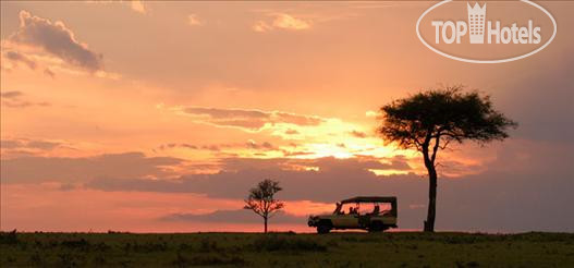 New photos from tourists Fairmont Mara Safari Club 5*