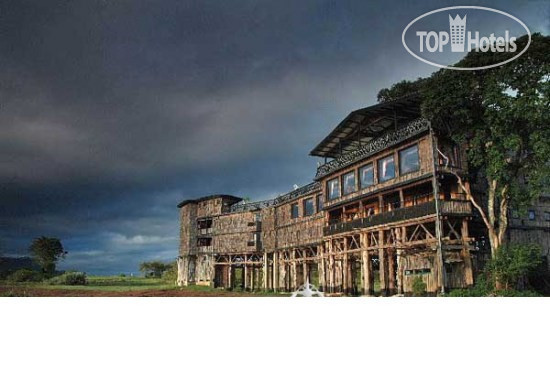 New photos from tourists Treetops 4*