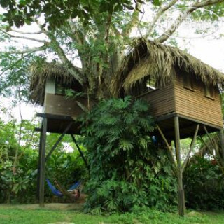 Photos Parrot Nest Lodge