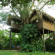 Фото Parrot Nest Lodge