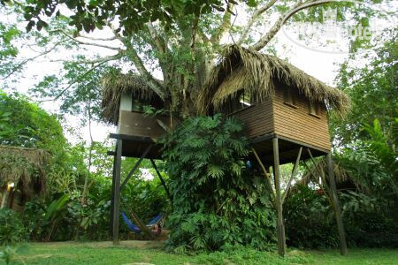 Photos Parrot Nest Lodge