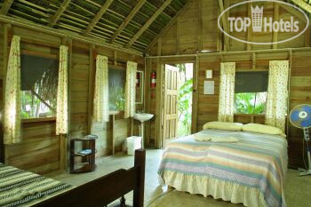 New photos from tourists Parrot Nest Lodge 3*