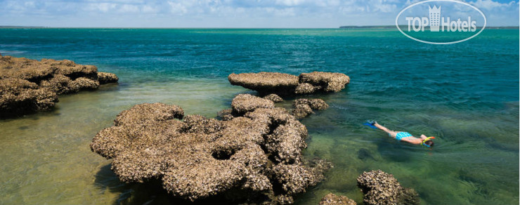 New photos from tourists Pestana Inhaca Lodge 4*