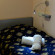 Фото Vagary Hostel