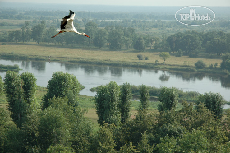 New photos from tourists Турист 3*