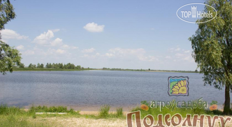 New photos from tourists Агроусадьба Подсолнух