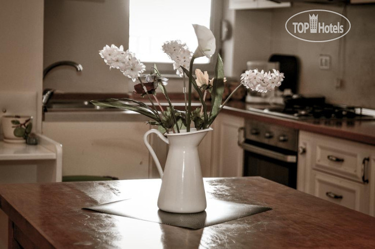 New photos from tourists Mary Guest House